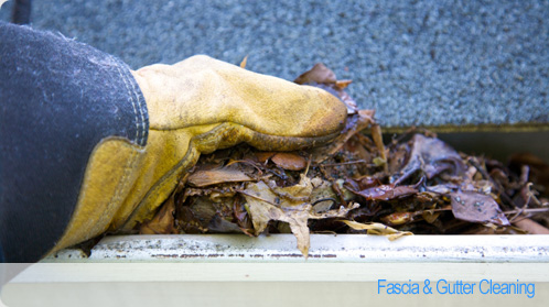 Tom the Window Cleaner - Fascia & Gutter Cleaning